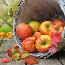 Cargar imagen en el visor de la galería, Manzanas