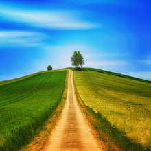 Cargar imagen en el visor de la galería, Colina