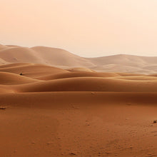 Cargar imagen en el visor de la galería, Desierto