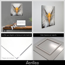 Cargar imagen en el visor de la galería, Aguila Calva