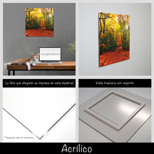 Cargar imagen en el visor de la galería, Bosque