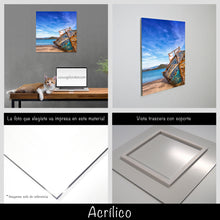 Cargar imagen en el visor de la galería, Bote