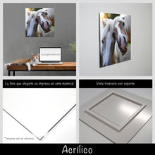 Cargar imagen en el visor de la galería, Caballos