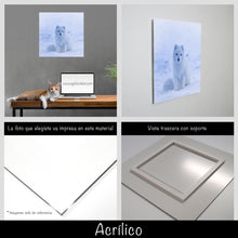 Cargar imagen en el visor de la galería, Zorro Polar