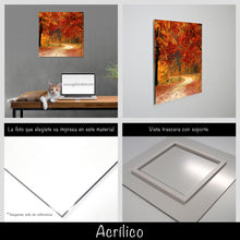 Cargar imagen en el visor de la galería, Camino