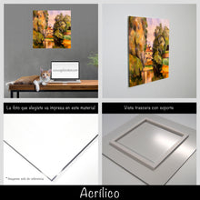 Cargar imagen en el visor de la galería, Cezanne