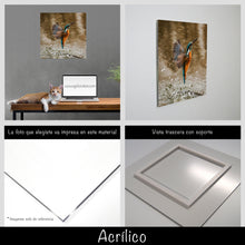 Cargar imagen en el visor de la galería, Colibrí