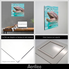 Cargar imagen en el visor de la galería, Delfín