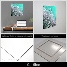 Cargar imagen en el visor de la galería, Diente de león