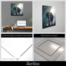 Cargar imagen en el visor de la galería, Elefante