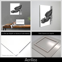 Cargar imagen en el visor de la galería, Gárgola