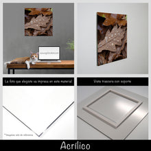 Cargar imagen en el visor de la galería, Hojas