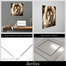 Cargar imagen en el visor de la galería, León