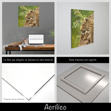 Cargar imagen en el visor de la galería, Leopardo