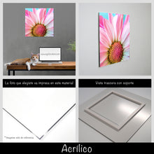 Cargar imagen en el visor de la galería, Margarita rosa