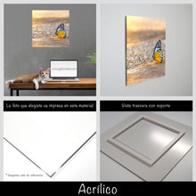 Cargar imagen en el visor de la galería, Mariposa