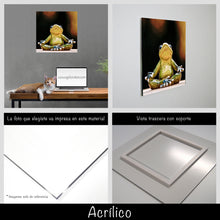 Cargar imagen en el visor de la galería, Rana yoga