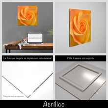 Cargar imagen en el visor de la galería, Rosa amarilla