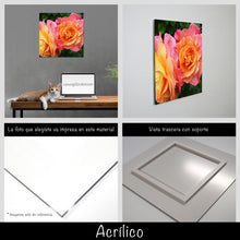 Cargar imagen en el visor de la galería, Rosas