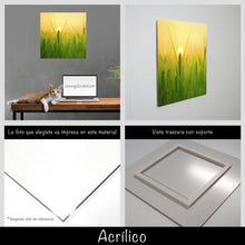 Cargar imagen en el visor de la galería, Trigo