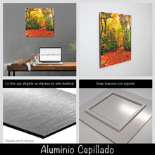 Cargar imagen en el visor de la galería, Bosque