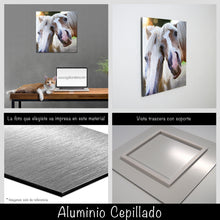 Cargar imagen en el visor de la galería, Caballos