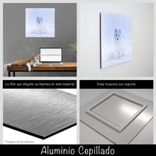 Cargar imagen en el visor de la galería, Zorro Polar