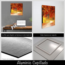 Cargar imagen en el visor de la galería, Camino