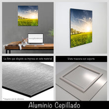 Cargar imagen en el visor de la galería, Campo