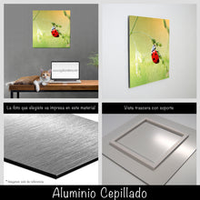 Cargar imagen en el visor de la galería, Catarina