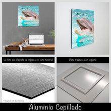 Cargar imagen en el visor de la galería, Delfín