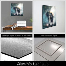 Cargar imagen en el visor de la galería, Elefante