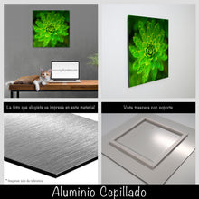 Cargar imagen en el visor de la galería, Helecho