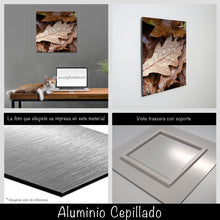 Cargar imagen en el visor de la galería, Hojas