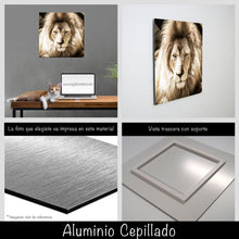 Cargar imagen en el visor de la galería, León