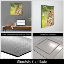 Cargar imagen en el visor de la galería, Leopardo