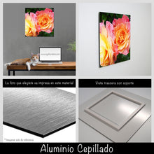 Cargar imagen en el visor de la galería, Rosas
