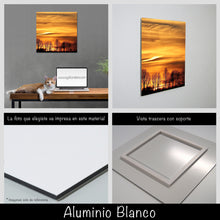 Cargar imagen en el visor de la galería, Ocaso