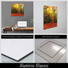 Cargar imagen en el visor de la galería, Bosque