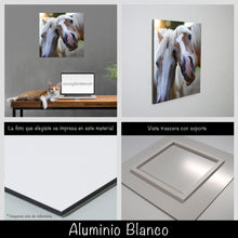 Cargar imagen en el visor de la galería, Caballos