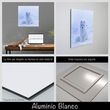 Cargar imagen en el visor de la galería, Zorro Polar