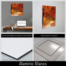 Cargar imagen en el visor de la galería, Camino