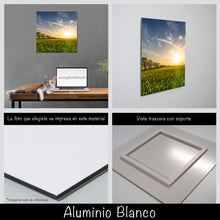 Cargar imagen en el visor de la galería, Campo