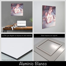 Cargar imagen en el visor de la galería, Cerezo