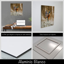 Cargar imagen en el visor de la galería, Colibrí