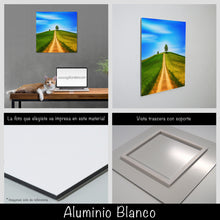 Cargar imagen en el visor de la galería, Colina