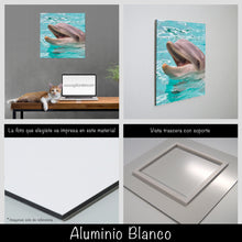 Cargar imagen en el visor de la galería, Delfín