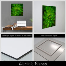 Cargar imagen en el visor de la galería, Helecho