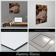 Cargar imagen en el visor de la galería, Hojas
