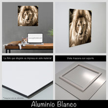 Cargar imagen en el visor de la galería, León